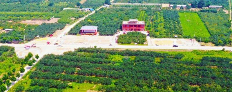 虞城县交通局电话为什么打不通（虞城县交通局电话为什么打不通电话）
