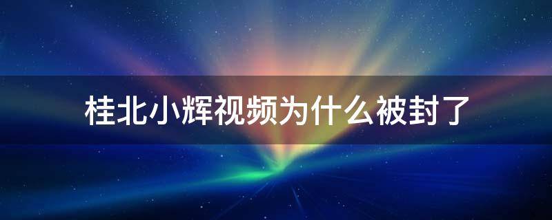 桂北小辉视频为什么被封了（桂北小辉哥是干什么的）