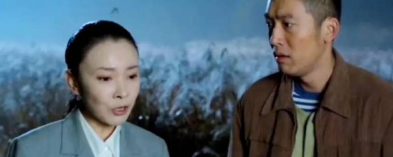 黄元帅和高山有自己的孩子吗 黄元帅和高山有自己的孩子吗