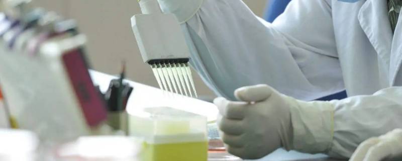 预防医学和检验专业的关系 预防医学和检验医学哪个好