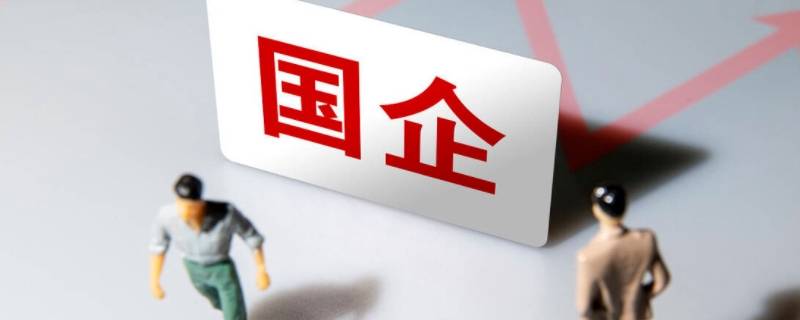 胶州德固特是国企吗 胶州德固特公司咋样
