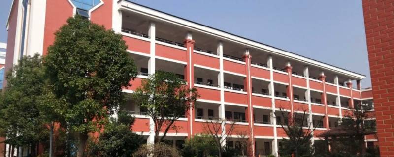 濮院毛衫城小学招生条件 濮院镇毛衫城小学