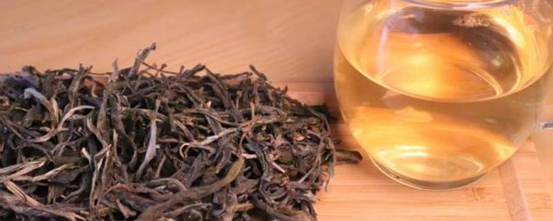 阿萨姆茶树是灌木还是乔木（阿萨姆茶树是灌木还是乔木）