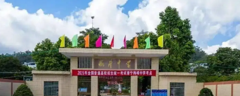 梅峰中学报名方式（梅峰中学报名方式有哪些）