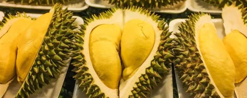 榴莲吹冷空调是不是很难熟 榴莲放空调下吹能熟么