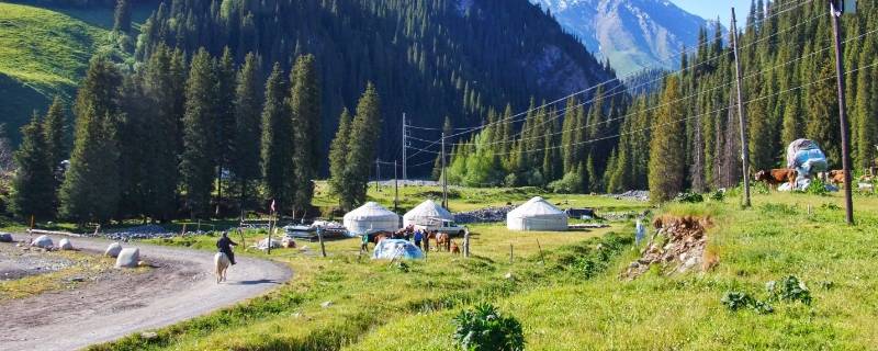 乔尔玛到唐布拉开车多长时间 乔尔玛到唐布拉开车多长时间能到