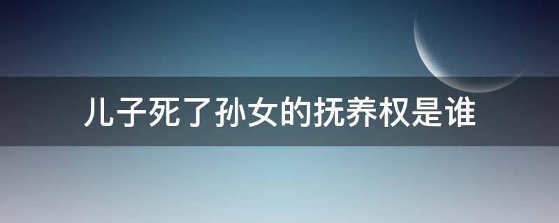 儿子死了孙女的抚养权是谁 儿子死了女儿抚养老人还是孙子抚养