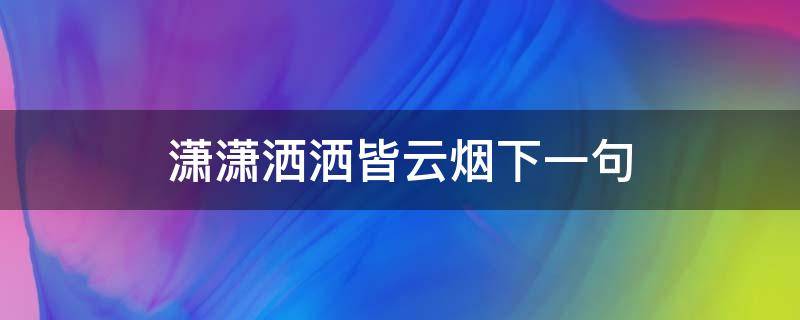 潇潇洒洒皆云烟下一句（红尘中潇潇洒洒是什么意思）