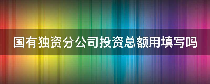 国有独资分公司投资总额用填写吗 个人独资企业投资总额怎么填