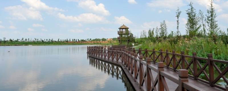 湘阴洋沙湖城投几点上班 湘阴县洋沙湖投资公司
