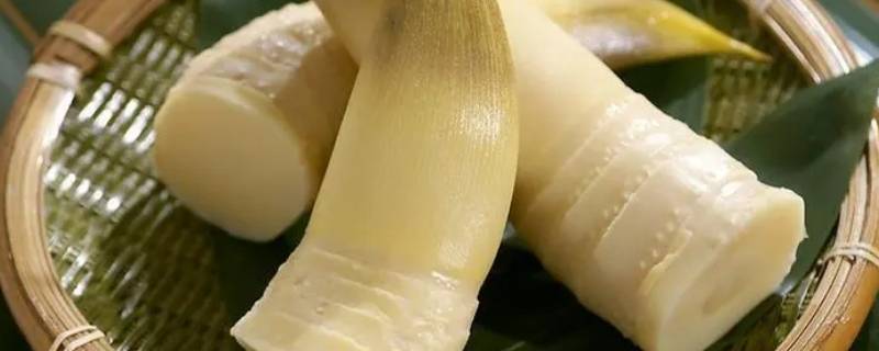 竹笋属于清真食品吗（竹笋属于清真食品吗）