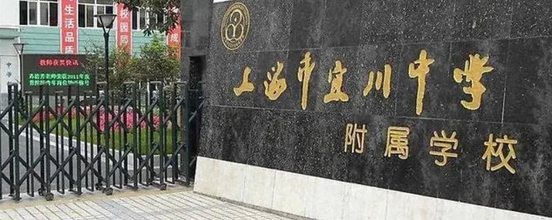 上海宜川中学商科班是什么（上海宜川中学商科班是什么班型）