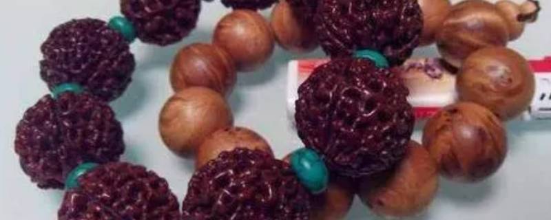 菩提有血腥味怎么去（菩提子的味道怎么去掉）