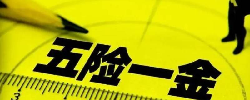 施可得拉五险一金标准（美国施可得公司）