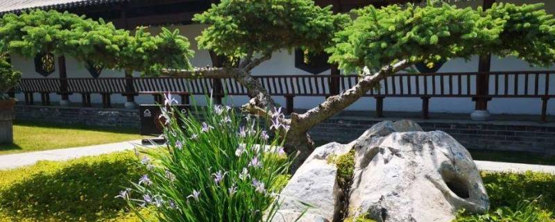 阿尔丁植物园一圈多少公里 阿尔丁植物园一圈有多少公里
