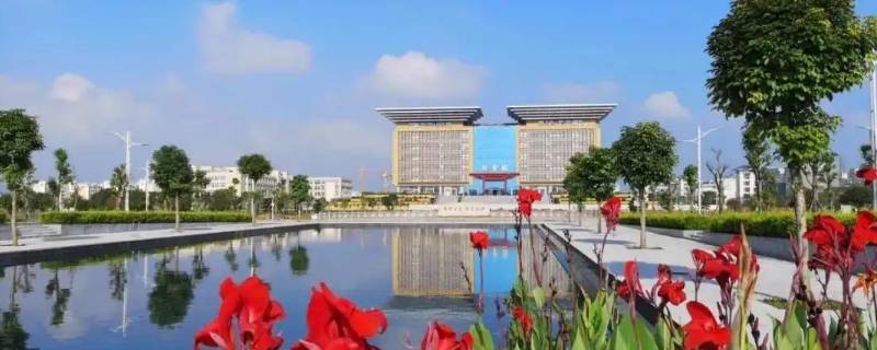 广西师范大学204是什么专业（广西师范大学有什么专业是211吗）