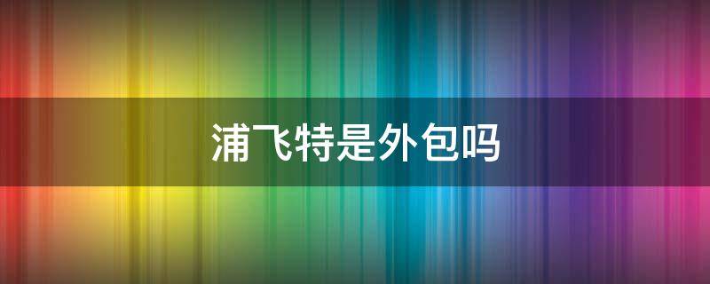 浦飞特是外包吗（北京浦飞特公司怎么样）