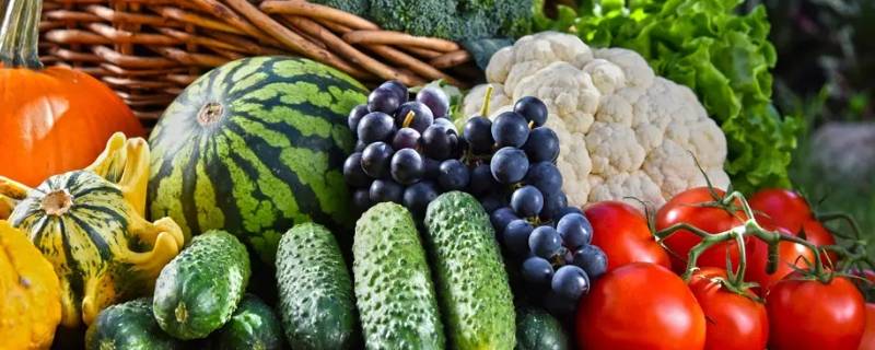 南方地下室有水放水果蔬菜好吗（水果放在地下室好吗）