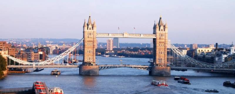 英国teachingfellow是什么职位