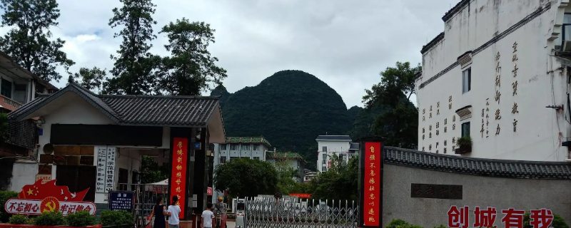 桂林阳朔中学2022年高考成绩 桂林阳朔中学2022年高考成绩表