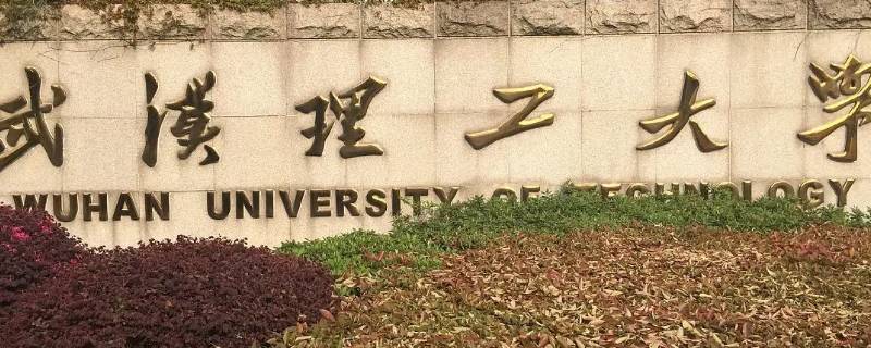 深圳张琦商业导师毕业什么大学