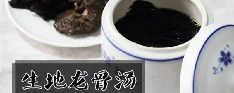 广东生地龙骨汤指的是什么动物（生地龙骨汤材料）