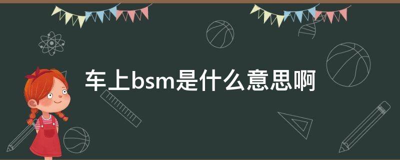 车上bsm是什么意思啊（车子显示bsm什么意思）