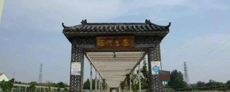 黄台魏家庄为什么不拆迁（济南黄台魏家庄拆迁）