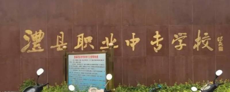 澧县兰江职中有师范专科吗（澧县兰江职业技术学院）