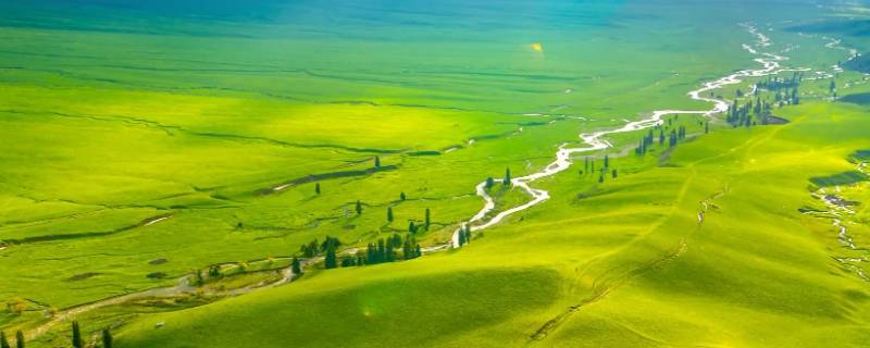 新疆三支一扶几比几进面（新疆三支一扶竞争激烈吗）