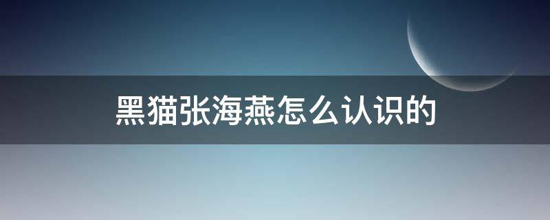 黑猫张海燕怎么认识的 黑猫张海燕怎么认识的 视频