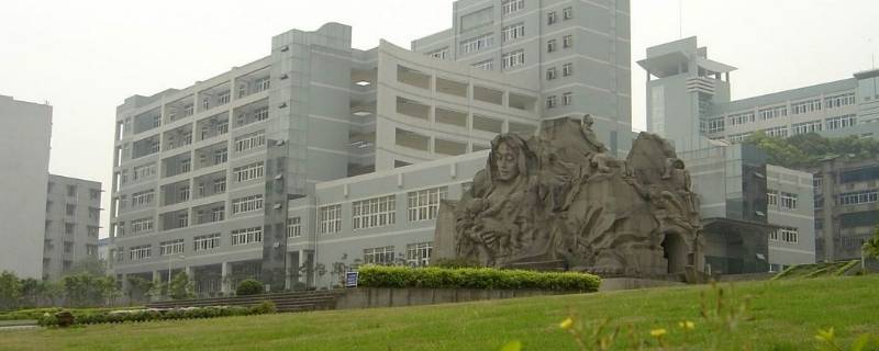 重庆护理职业学院可以考四六级吗 重庆护理职业学院可以升本科吗
