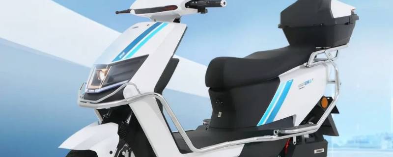 兔子可以坐电动车吗（兔子骑电动车）
