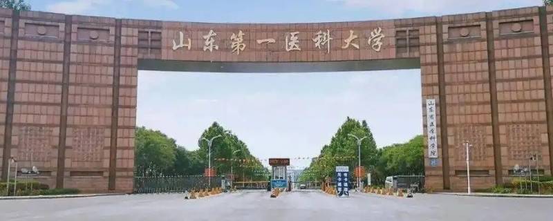 山东第一医科大学有日语公开课吗（山东第一医科大学对外开放吗）
