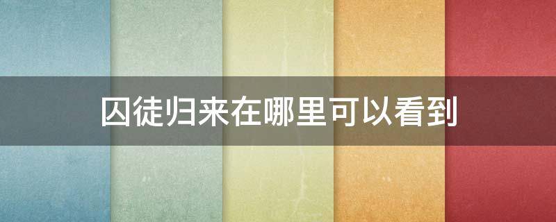 囚徒归来在哪里可以看到 囚徒最后找到了吗