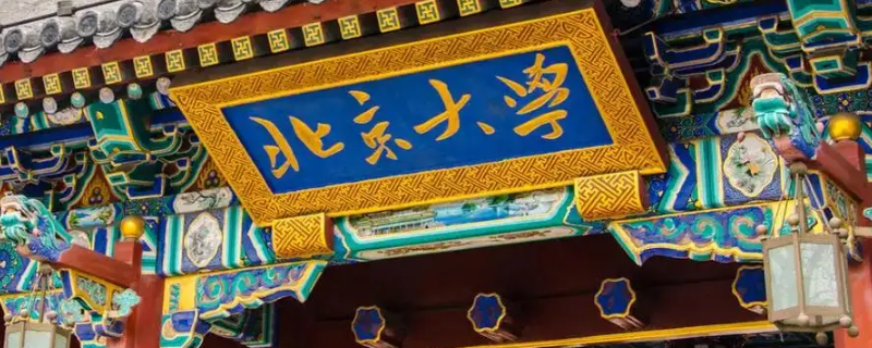 蒋疏桐是谁