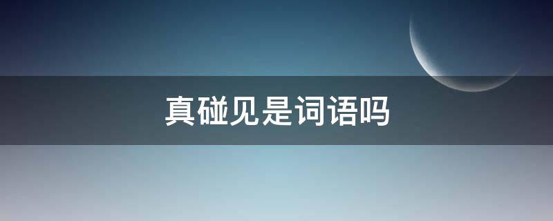 真碰见是词语吗 真碰见是词语吗怎么说