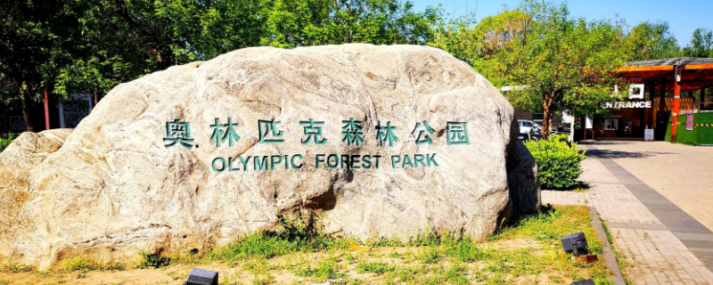 奥林匹克森林公园附近医院（奥林匹克公园附近的医院）