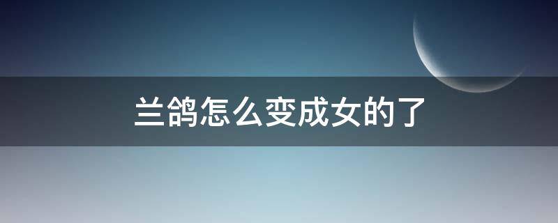 兰鸽怎么变成女的了 女朋友怎么办