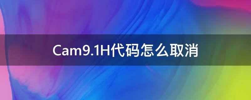 Cam9.1H代码怎么取消