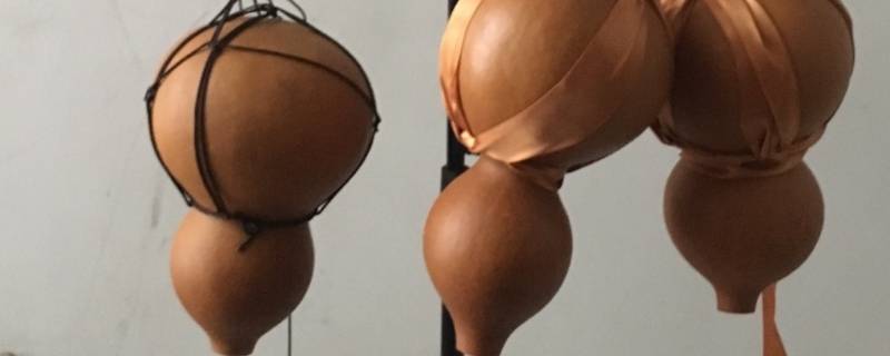 酒葫芦底部不平怎么办（酒葫芦底部不平怎么办图片）