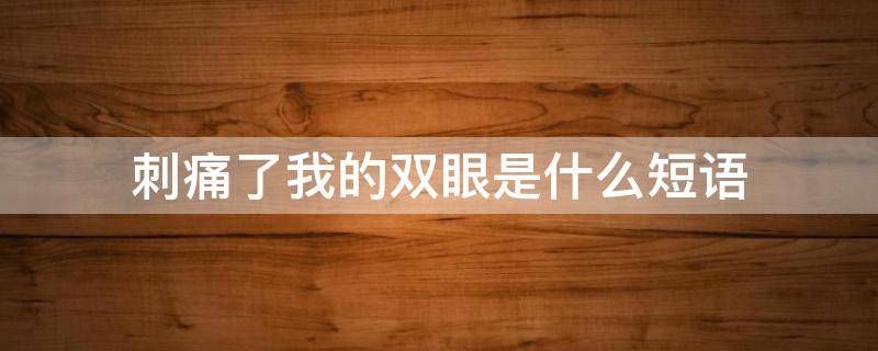 刺痛了我的双眼是什么短语
