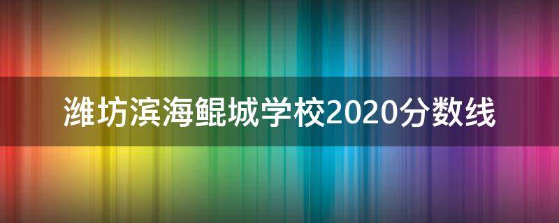 潍坊滨海鲲城学校2020分数线 潍坊2020年学校