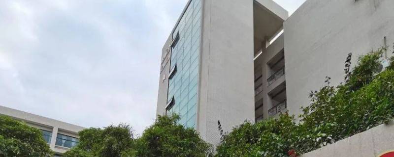河源理工学校高考班有什么科目（河源理工学校高考班有什么科目要求）