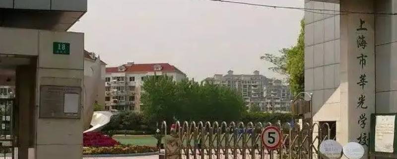 莘光学校中考成绩 莘光学校2019年中考成绩