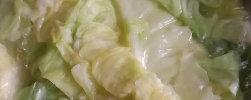 包菜做包子水怎么弄干（腌包菜的做法）