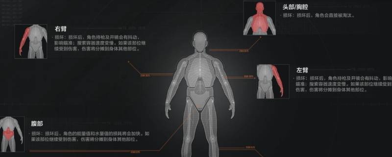 暗区突围只有男性吗 暗区突围