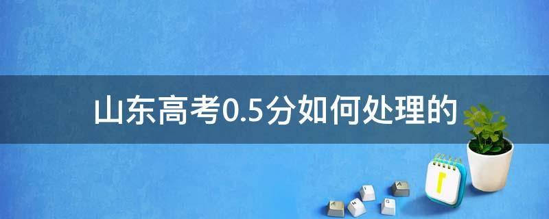 山东高考0.5分如何处理的 高考分数0.5怎么处理