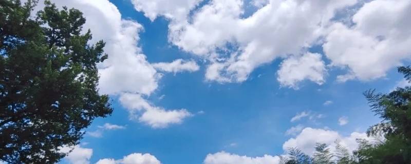 清爽的天空对吗（清亮的天空对吗）