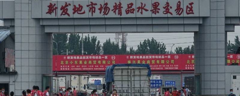 离新发地近做什么买卖（新发地主要批发什么）